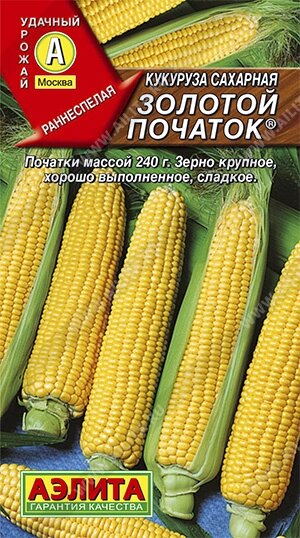 Кукуруза сахарная Золотой початок, 5г (АЭЛИТА) от компании Садовник - все для сада и огорода. Семена почтой по всей РБ - фото 1