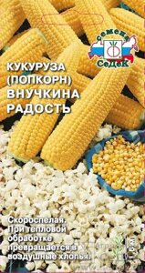 Кукуруза Внучкина Радость (поп-корн) 5 гр ! седек НОВИНКА !