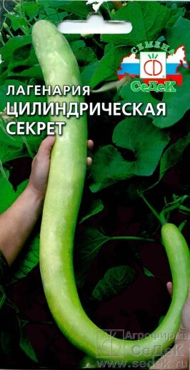 Лагенария цилиндрическая Секрет  2 г.Седек от компании Садовник - все для сада и огорода. Семена почтой по всей РБ - фото 1