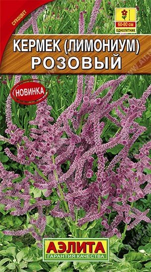 Лимониум Кермек  Розовый 0.02 г от компании Садовник - все для сада и огорода - фото 1
