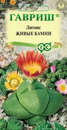 Литопс Живые Камни, 5шт, Гавриш от компании Садовник - все для сада и огорода. Семена почтой по всей РБ - фото 1