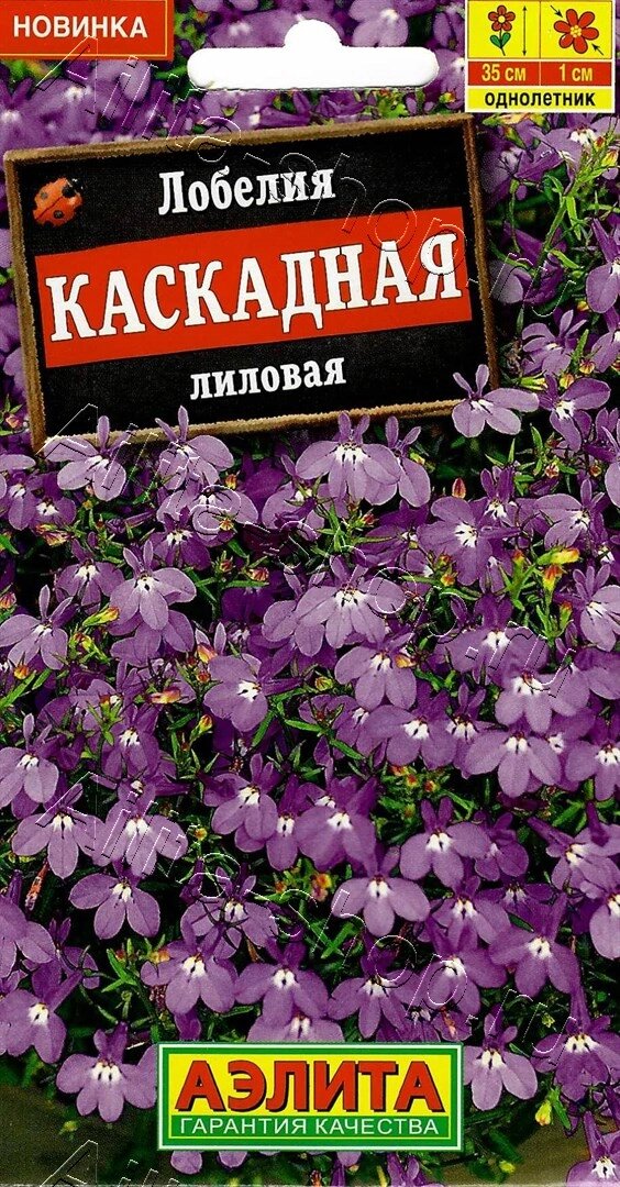 Лобелия каскадная лиловая 0,05г аэлита от компании Садовник - все для сада и огорода - фото 1