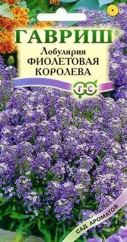 Лобулярия Фиолетовая королева 0,2 г (Г) от компании Садовник - все для сада и огорода - фото 1