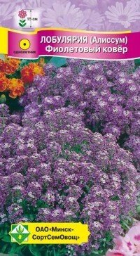 Лобулярия морская Фиолетовый ковер 0.2г от компании Садовник - все для сада и огорода - фото 1