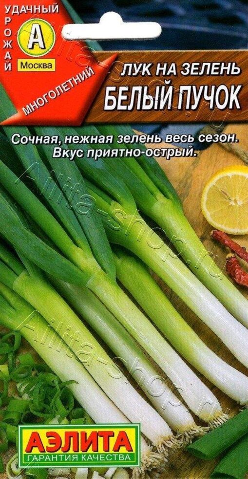 ЛУК батун БЕЛЫЙ ПУЧОК НОВИНКА 0,5гр от компании Садовник - все для сада и огорода. Семена почтой по всей РБ - фото 1