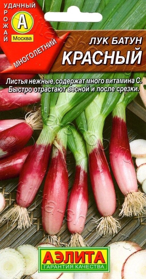 ЛУК батун КРАСНЫЙ НОВИНКА 0,3гр от компании Садовник - все для сада и огорода - фото 1