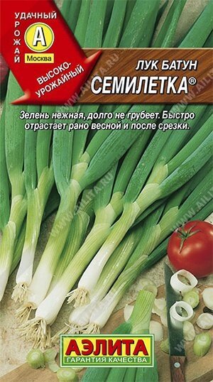 Лук батун Семилетка 0,5 г. от компании Садовник - все для сада и огорода - фото 1