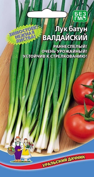 ЛУК БАТУН ВАЛДАЙСКИЙ (УД) 0,25гр от компании Садовник - все для сада и огорода - фото 1