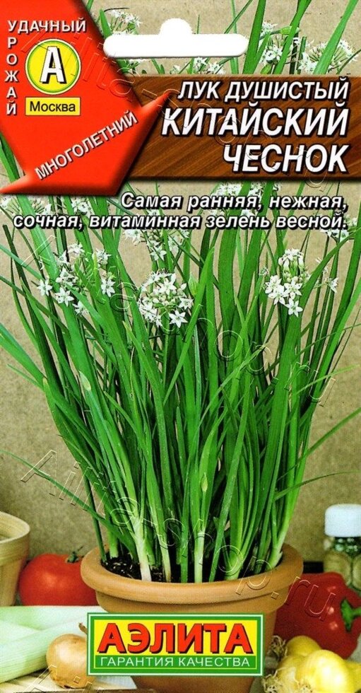 ЛУК душистый Китайский чеснок 0,3гр на скидке срок годности до 12,24г от компании Садовник - все для сада и огорода - фото 1