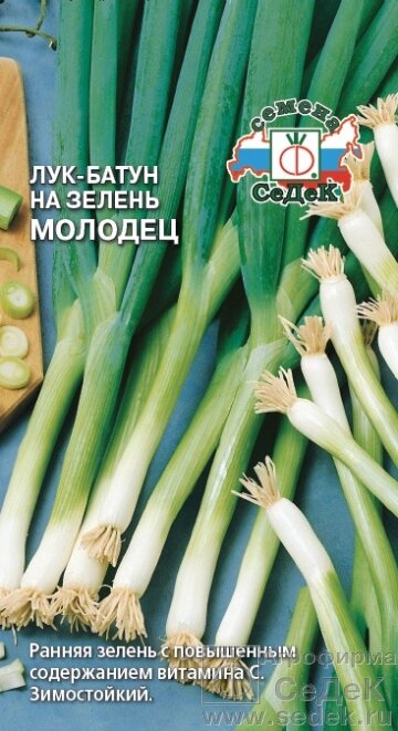 Лук Молодец батун на зелень 1 гр ! НОВИНКА ! седек от компании Садовник - все для сада и огорода. Семена почтой по всей РБ - фото 1