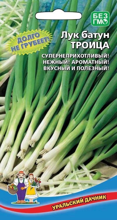 ЛУК НА ЗЕЛЕНЬ БАЙКАЛ (УД) 0,25гр от компании Садовник - все для сада и огорода. Семена почтой по всей РБ - фото 1