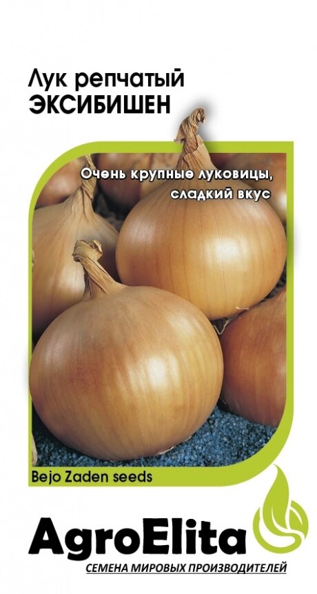 ЛУК РЕПЧАТЫЙ 0,2гр ЭКСИБИШЕН (АГ. Э) от компании Садовник - все для сада и огорода. Семена почтой по всей РБ - фото 1