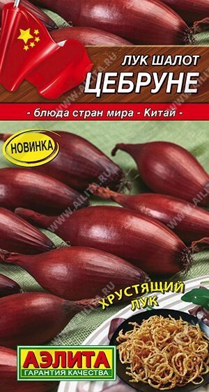 Лук шалот Цебруне 0.3г. А на скидке срок годности до 12,24г от компании Садовник - все для сада и огорода - фото 1