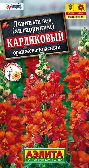 Львиный зев карликовый оранжево-красный 10шт. (А) от компании Садовник - все для сада и огорода. Семена почтой по всей РБ - фото 1