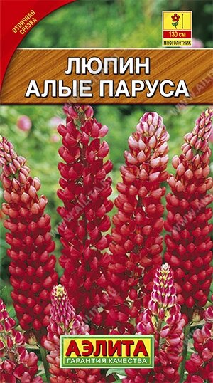 Люпин Алые паруса НОВИНКА 15шт от компании Садовник - все для сада и огорода. Семена почтой по всей РБ - фото 1