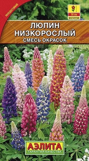 Люпин Низкорослый, смесь окрасок 0,5г от компании Садовник - все для сада и огорода - фото 1