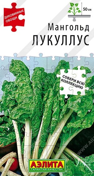 Мангольд Лукуллус АЭЛИТА от компании Садовник - все для сада и огорода. Семена почтой по всей РБ - фото 1