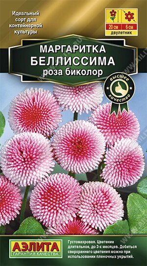 Маргаритка Беллиссима роза биколор НОВИНКА 7шт от компании Садовник - все для сада и огорода - фото 1