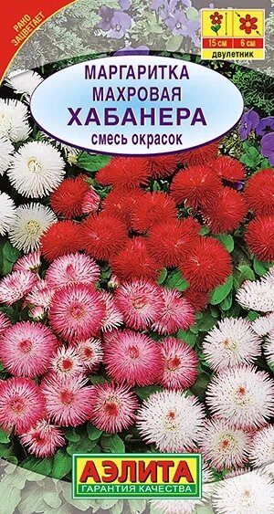 Маргаритка Хабанера махровая смесь аэлита 10шт от компании Садовник - все для сада и огорода. Семена почтой по всей РБ - фото 1
