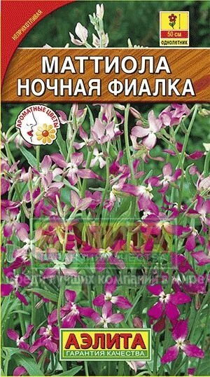 Маттиола Царица ночи  0,5 г А лидер картинка может отличатся от компании Садовник - все для сада и огорода - фото 1