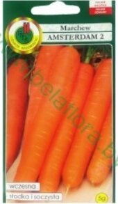 Морковь Амстердамская - 2  5 гр Польша от компании Садовник - все для сада и огорода - фото 1