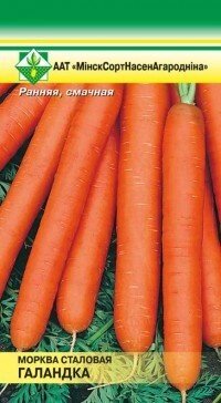 Морковь Голландка столовая 1г от компании Садовник - все для сада и огорода - фото 1