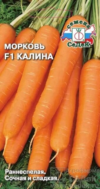 Морковь Калина F1 1г от компании Садовник - все для сада и огорода - фото 1
