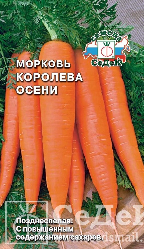 Морковь Королева Осени 2г. седек от компании Садовник - все для сада и огорода - фото 1