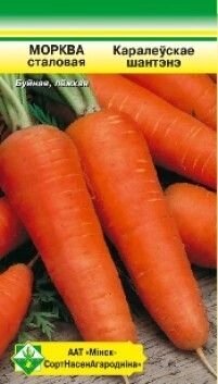 Морковь Королевское шантане от компании Садовник - все для сада и огорода - фото 1
