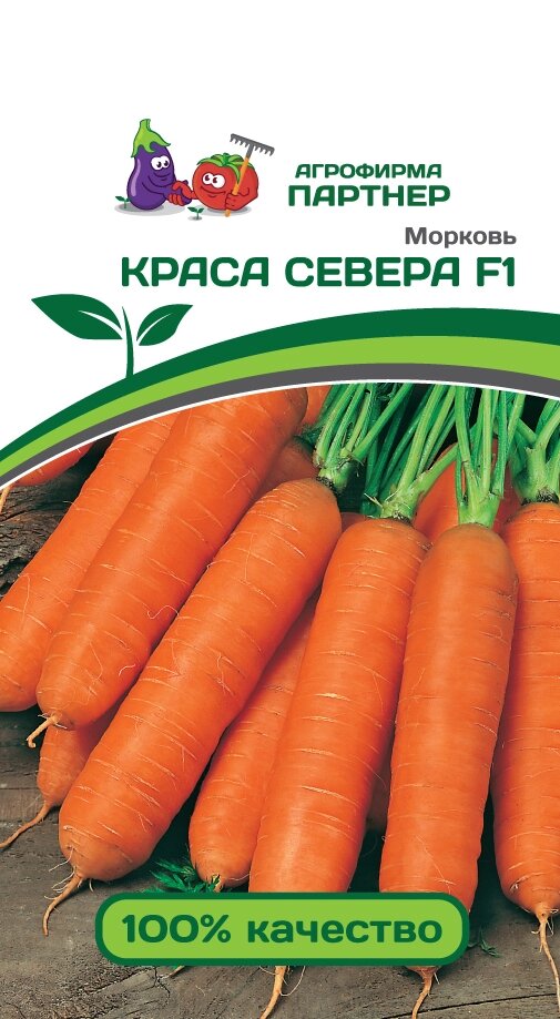 Морковь КРАСА СЕВЕРА F1 0,5ГР НОВИНКА  срок годности до 12.25г от компании Садовник - все для сада и огорода - фото 1