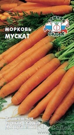 Морковь Мускат 1г от компании Садовник - все для сада и огорода - фото 1