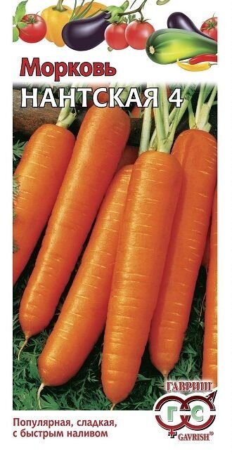 Морковь Нантская 4  1,5гр  (Г) хит от компании Садовник - все для сада и огорода - фото 1