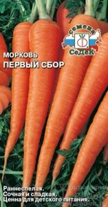 Морковь Первый сбор 2 г. седек