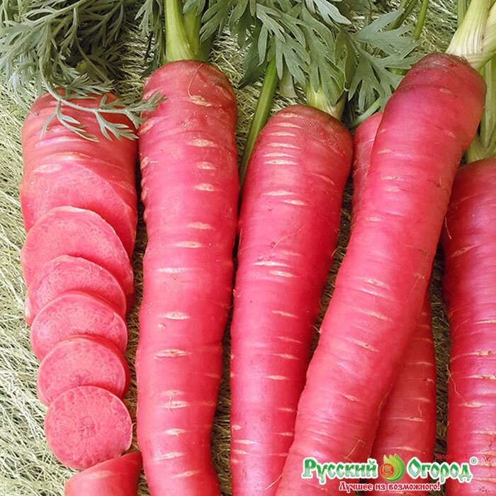 Морковь Рубиновая 100шт.F1 от компании Садовник - все для сада и огорода - фото 1