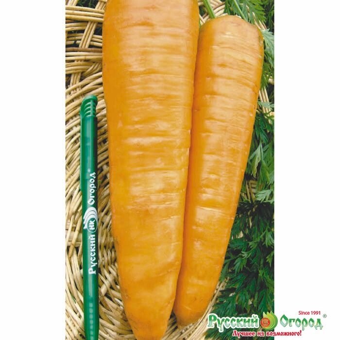 Морковь Русский размер 200шт на акции срок годности до 04,25г от компании Садовник - все для сада и огорода - фото 1