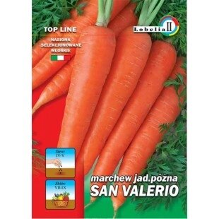 Морковь Сан Валерио 3гр Польша от компании Садовник - все для сада и огорода - фото 1