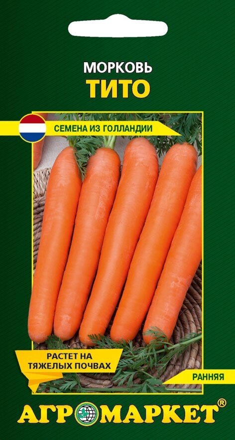Морковь Тито 2 г. Голландия от компании Садовник - все для сада и огорода - фото 1