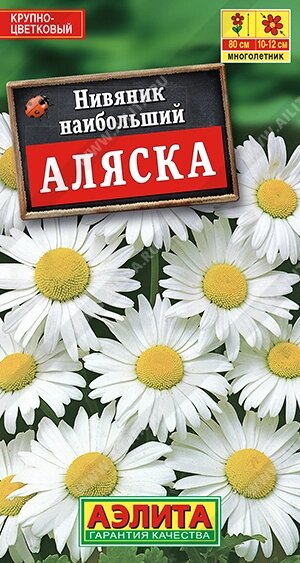 Нивянник Аляска 0,5гр А от компании Садовник - все для сада и огорода - фото 1