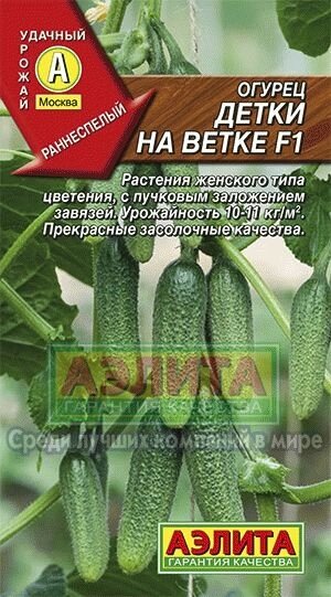 Огурец Детки на ветке F1 10шт Аэлита от компании Садовник - все для сада и огорода. Семена почтой по всей РБ - фото 1