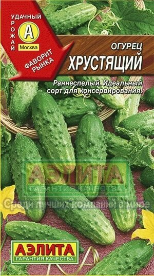 Огурец Хрустящий 0,3 г ; Аэлита на скидке срок годности до 12,24г от компании Садовник - все для сада и огорода. Семена почтой по всей РБ - фото 1