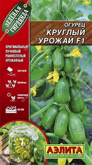 Огурец Круглый урожай F1 0.25г.; Аэлита на скидке срок годности до 12,24г от компании Садовник - все для сада и огорода. Семена почтой по всей РБ - фото 1