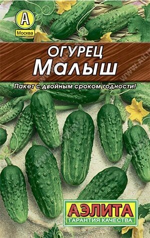 Огурец Малыш 10шт.; Аэлита от компании Садовник - все для сада и огорода - фото 1