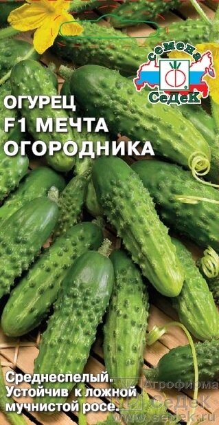 Огурец Мечта Огородника F1 0,3гр ! НОВИНКА! седек от компании Садовник - все для сада и огорода - фото 1