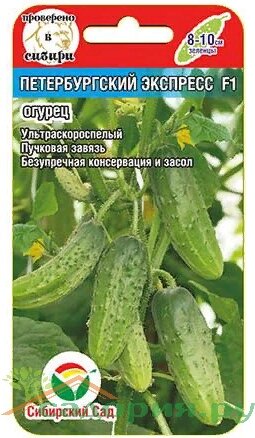 Огурец Петербургский экспресс F1 7 шт от компании Садовник - все для сада и огорода - фото 1