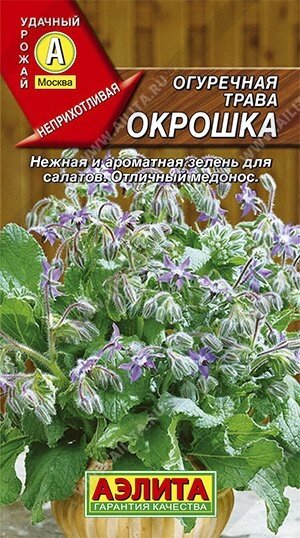 Огуречная трава Окрошка 25шт. от компании Садовник - все для сада и огорода. Семена почтой по всей РБ - фото 1