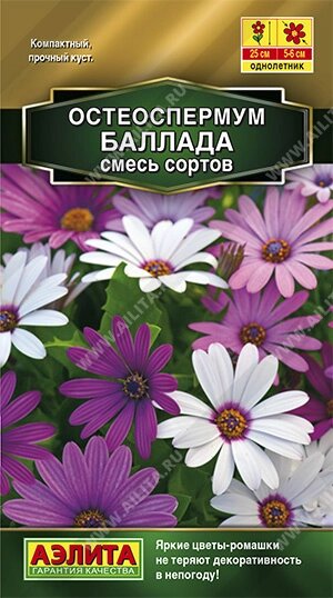 Остеоспермум Баллада, смесь сортов НОВИНКА 10шт от компании Садовник - все для сада и огорода. Семена почтой по всей РБ - фото 1