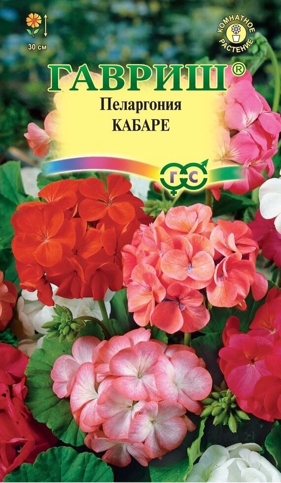 Пеларгония Кабаре F2 4шт от компании Садовник - все для сада и огорода - фото 1