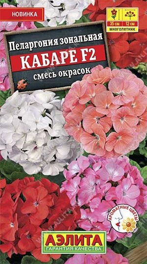 Пеларгония Кабаре F2, смесь окрасок 5 шт. от компании Садовник - все для сада и огорода - фото 1