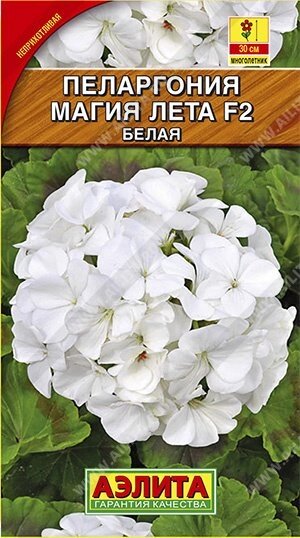 Пеларгония Магия лета F2 белая 5 шт. от компании Садовник - все для сада и огорода - фото 1