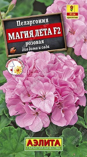 Пеларгония Магия лета F2 розовая 5 шт. от компании Садовник - все для сада и огорода - фото 1